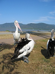 205 Cairns Esplanade